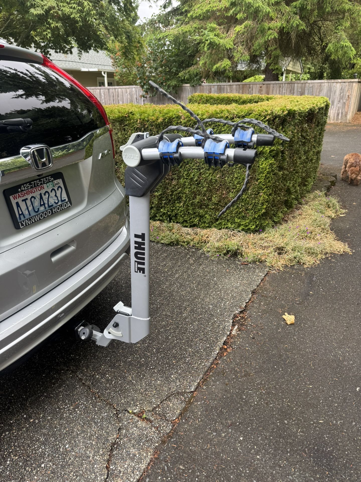 Tule Bike Rack