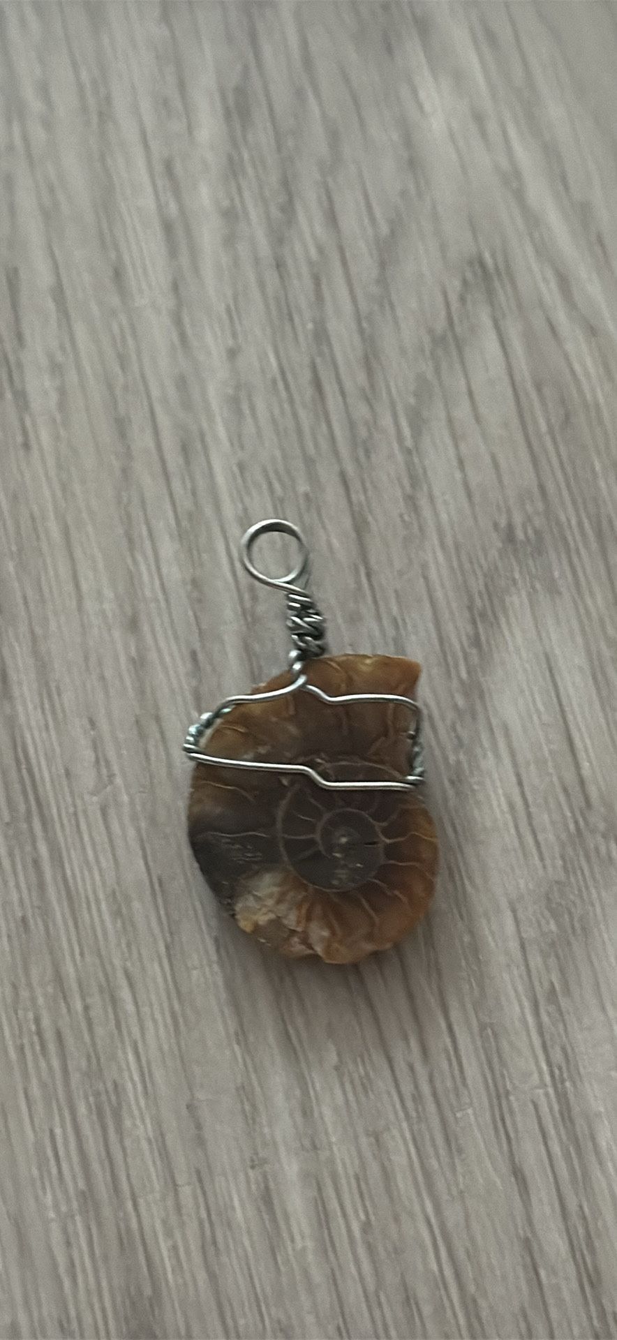 Ammonite Pendant