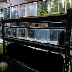 10 Gal Aquarium Fish Tank