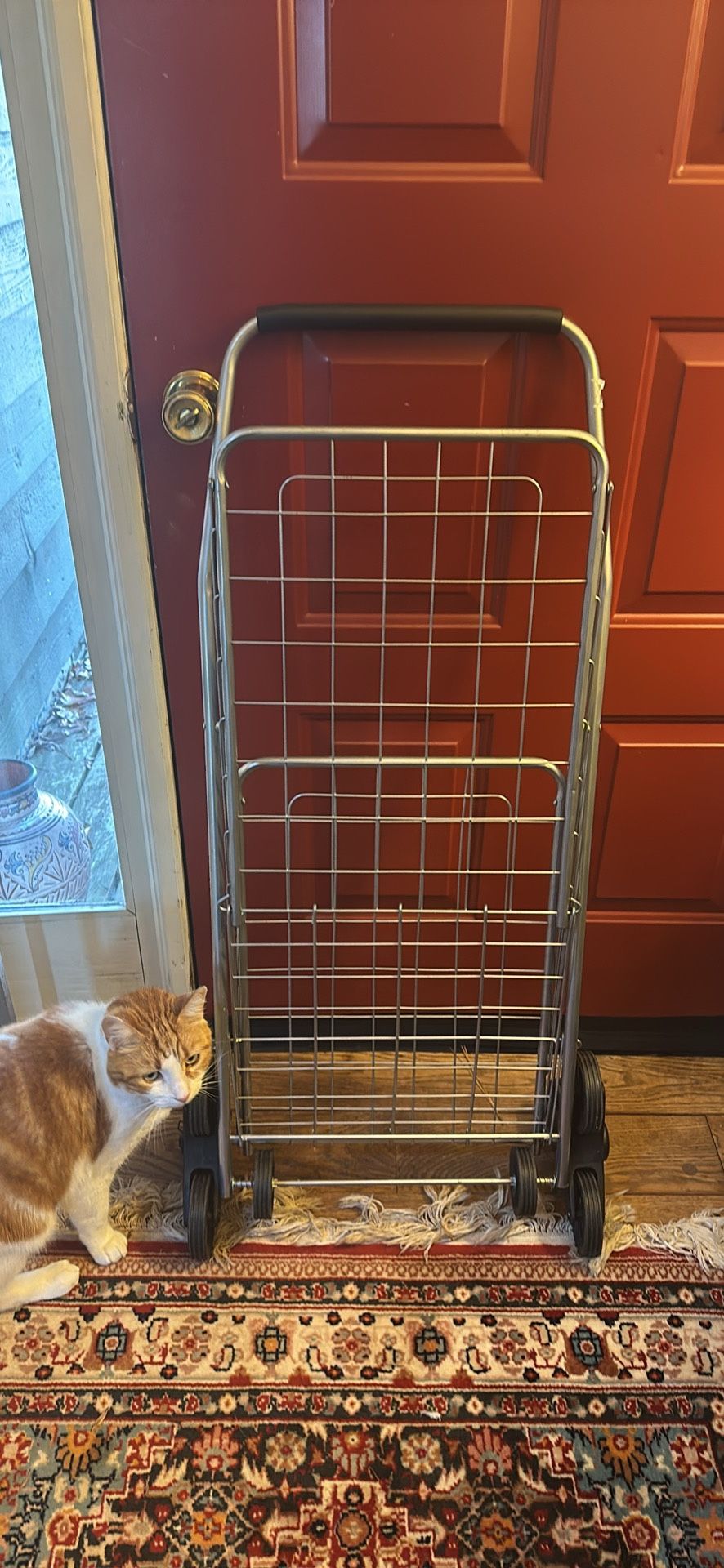 Folding Shopping Cart