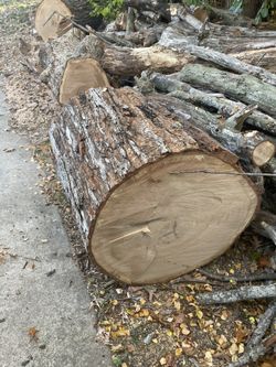 Different sizes logs some is huge