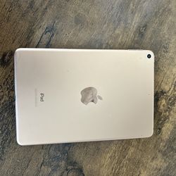 iPad Mini 