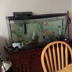 75 Gallon Fish Tank With Everything 