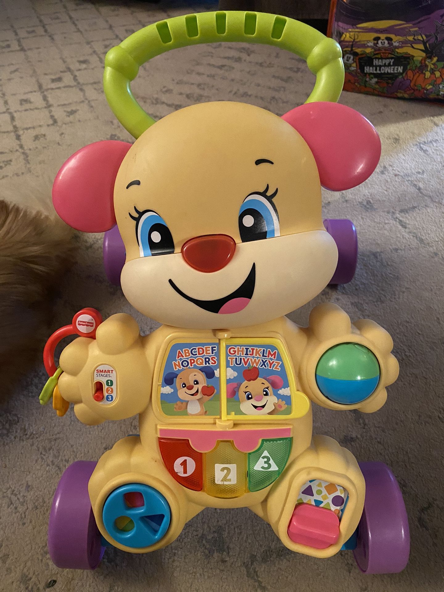 Fisher price Smart Toy Sit And Walk Girl Puppy Educational Toy 