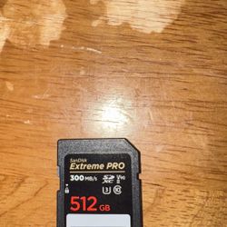 San Disk Extreme Pro 512 GB 300MB/S