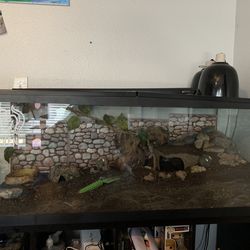 120 Gallon tank reptile tank
