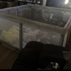 Play Pen