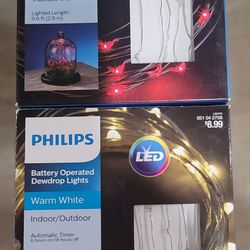 LED Battery Operated Indoor / Outdoor Dewdrop Lights