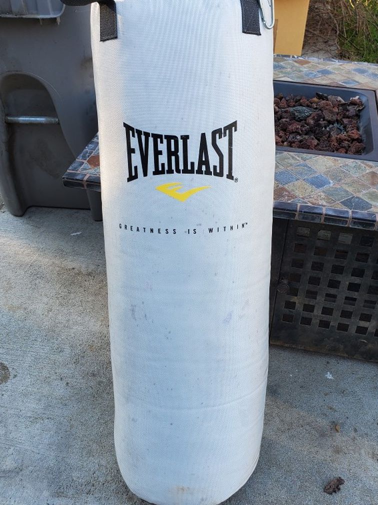 80 lb Everlast Punching Bag