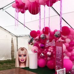 Barbie Balloon Wall