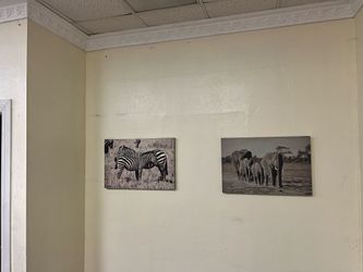 African Wildlife Canvas Wall Art
