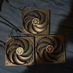 Arctic P12 Slim Fans