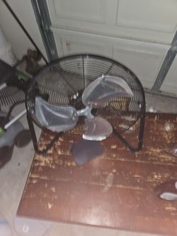 Fan