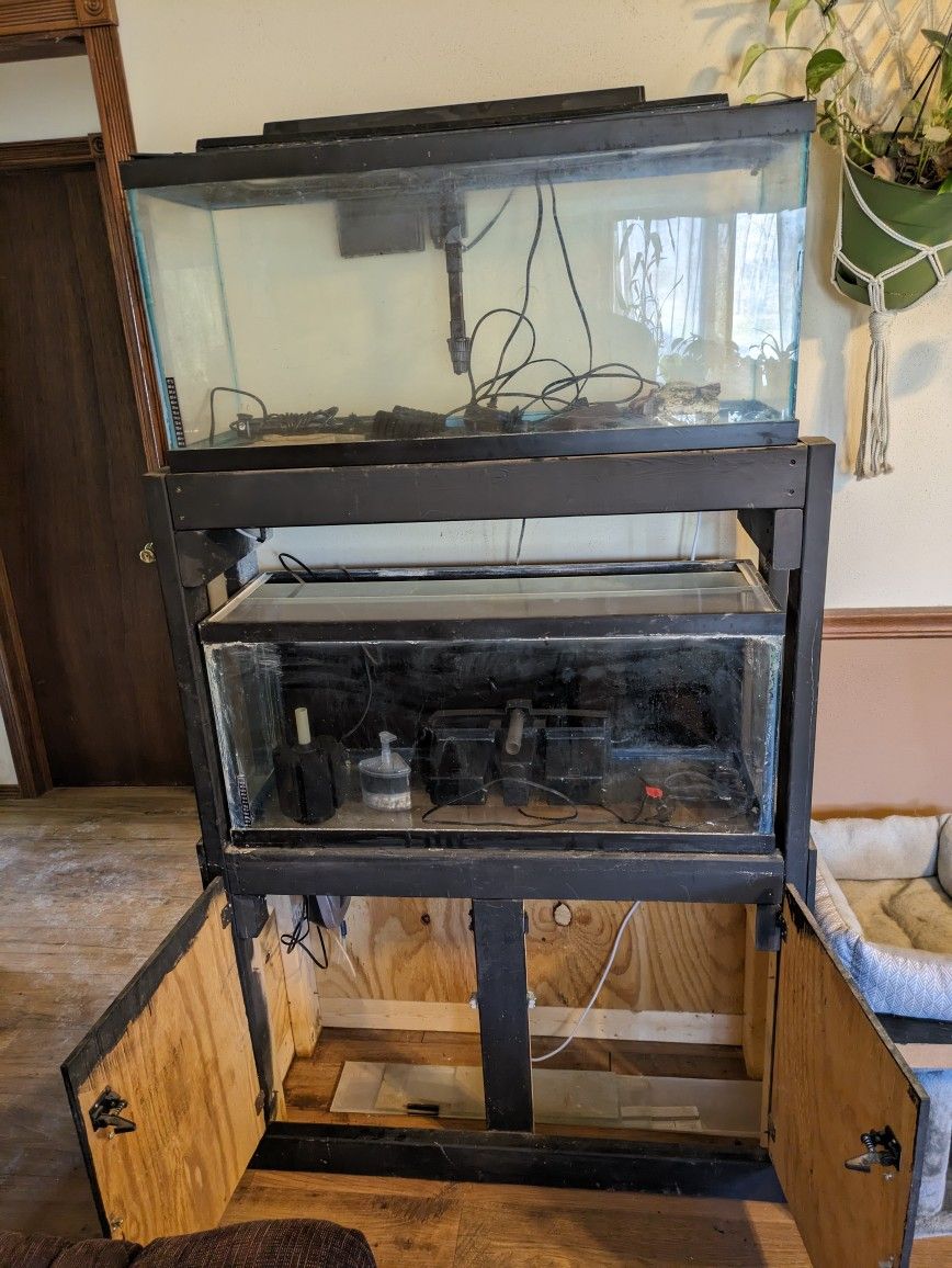 Dual 30 Gallon Fish Tanks With Stand