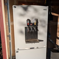 Kegerator - Samsung 3 Tap - Bottom Freezer 