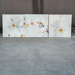orchid canvas wall art 