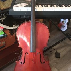 Cello Oxford 