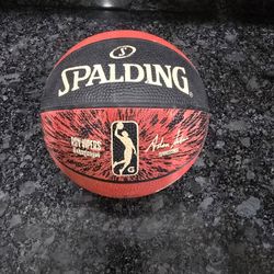 Spalding Rio Grande Valley Vipers Mini Basketball
