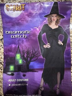 Witch costume adult