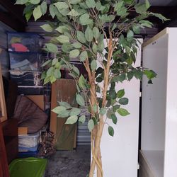 Beautiful Fake Plant Over 5ft Tall