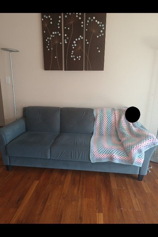 Sofa From Amazon Like New