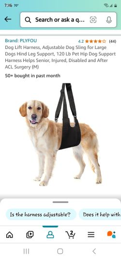 Dog Lift Harness