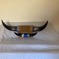 Steer Horn Coat Rack