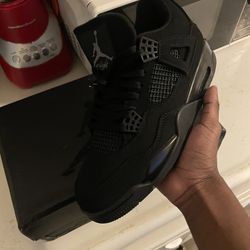 Black Cats 4 