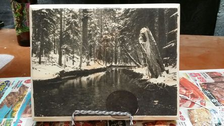 Black and white River