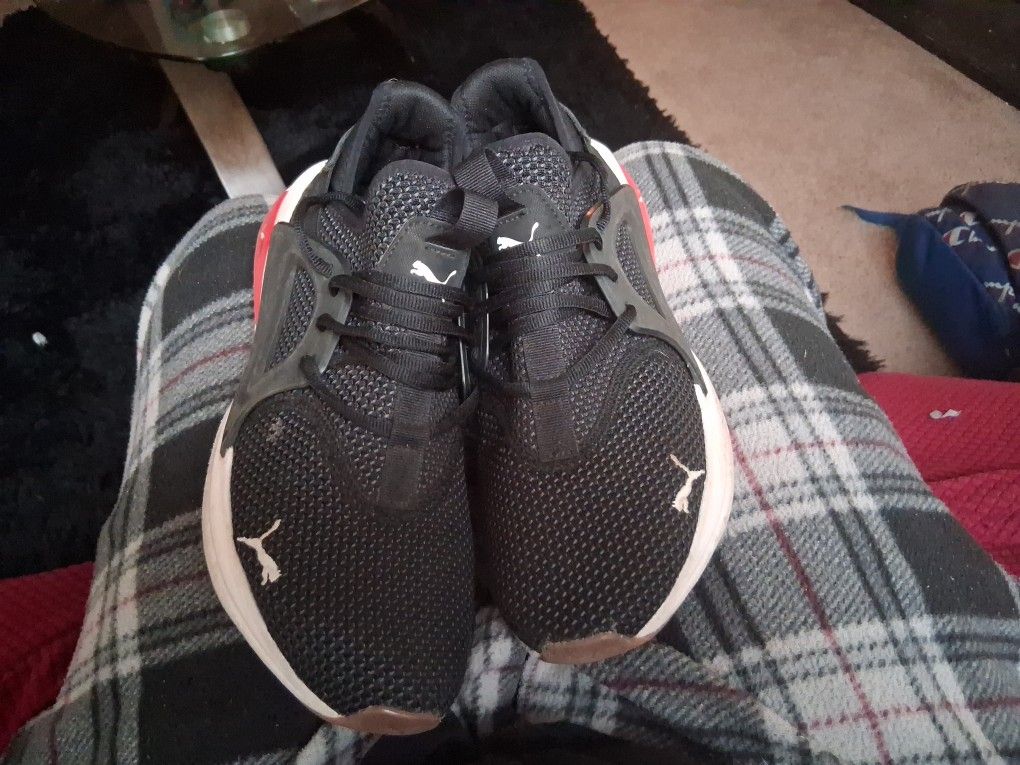 Pumas