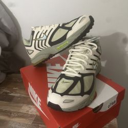 Nike Air Pegasus Size 10.5