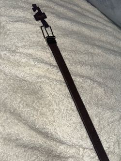 Coach belt