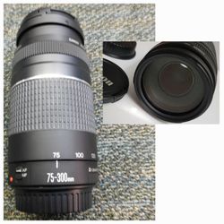 Canon EF 75-300mm f/4-5.6 Telephoto Zoom