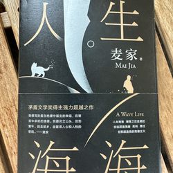 中文书 人生海海 麦家 Chinese Book