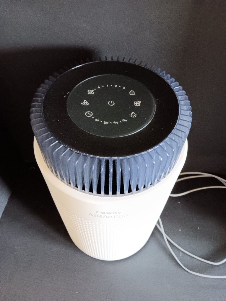 Coway Airmega 100 Used