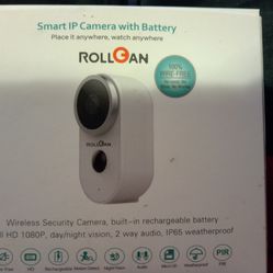 Wireless Indoor/Outdoor Security Camera
