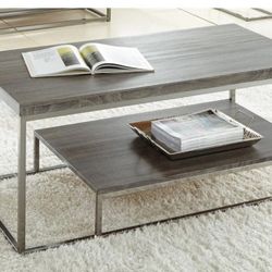Lucia Coffee Table in Nickel frame Driftwood Gray top