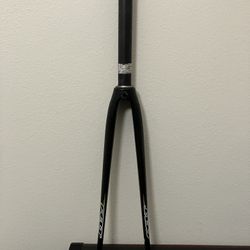 cracked carbon bike fork