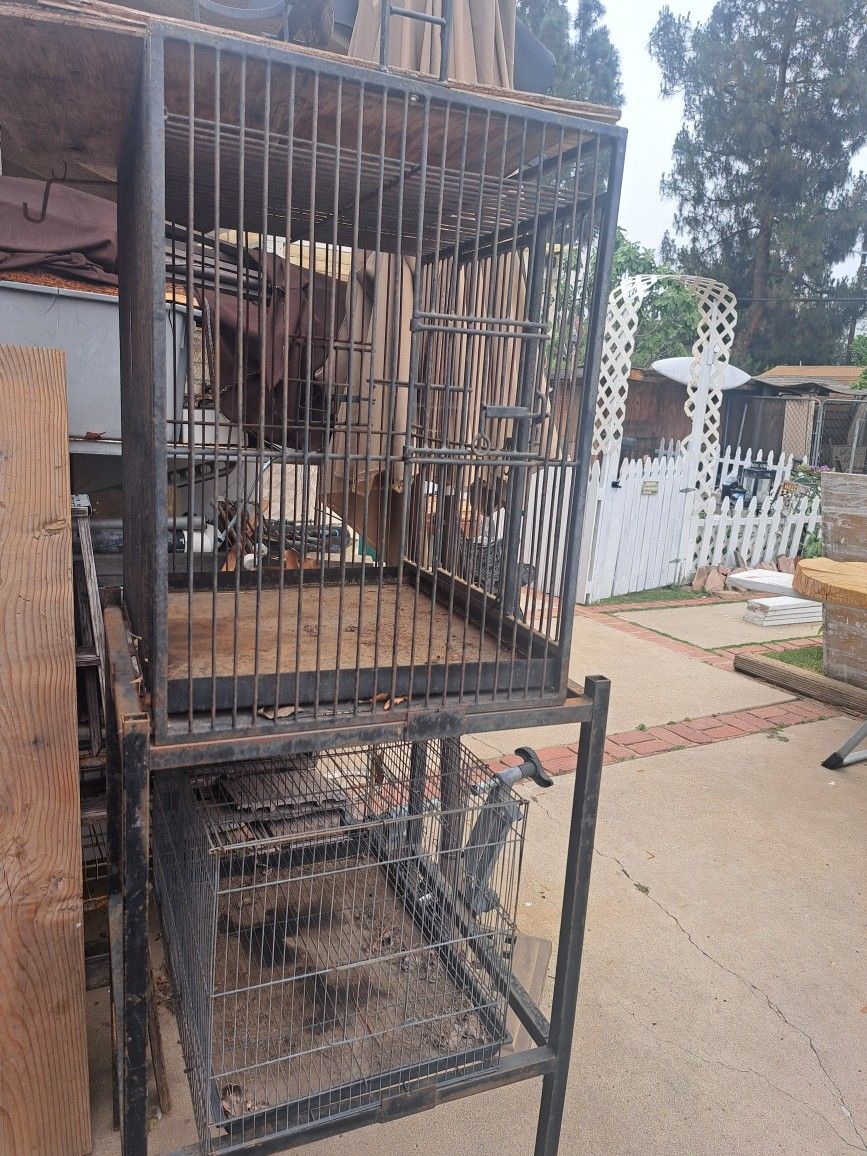 Bird Cage