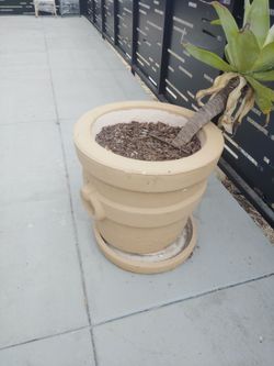 5 plant pots 30$ each