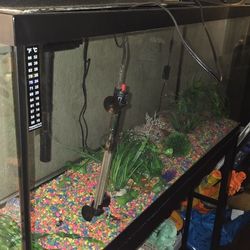 Fish Tank Only The Tank The Stand Is Sold