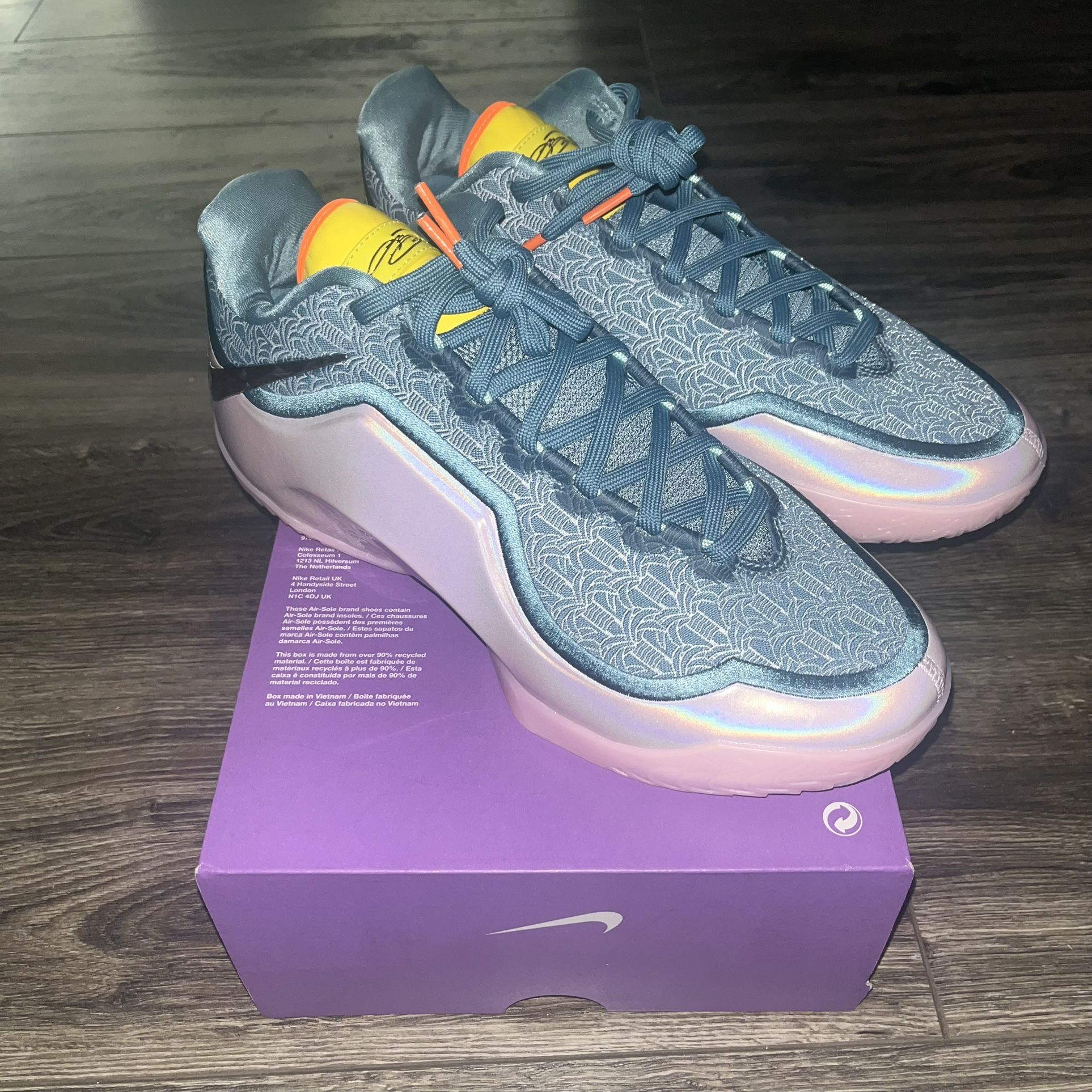 Nike LeBron 23 xxiii Basketball Shoes