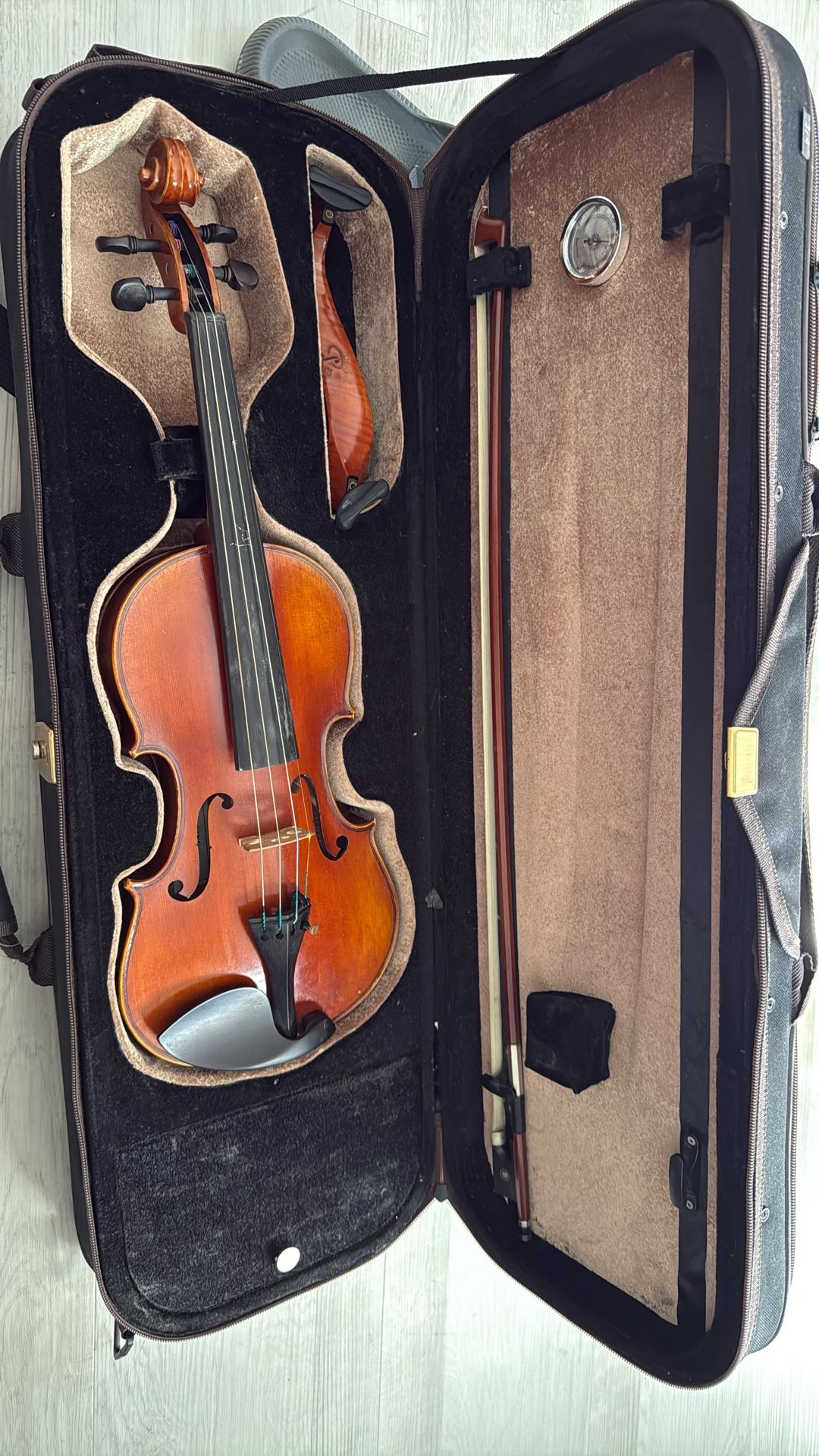 Violin