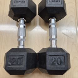 Set of 20 Pounds Dumbell