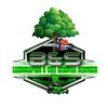 B&S  Tree Services Llc 