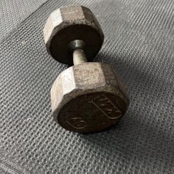 Single 40 Pound Dumbbell