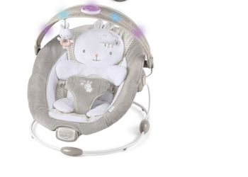 Baby Bouncer