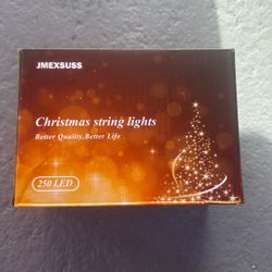 250 LED Christmas Lights 