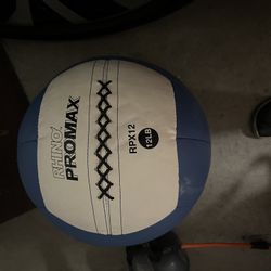 Med Ball, Ab Wheel, Weights, Sandbag 