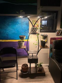 Plant stand with lights